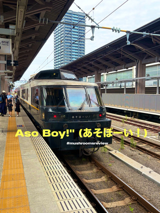 Let's hop on this adorable train! 🚈 🥰