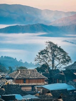 ☁️ Jingmai Mountain | Where the Sea of Clouds Meets Ancient Tea Villages