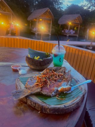 Bubble in the Forest: Scenic Dining Escape 