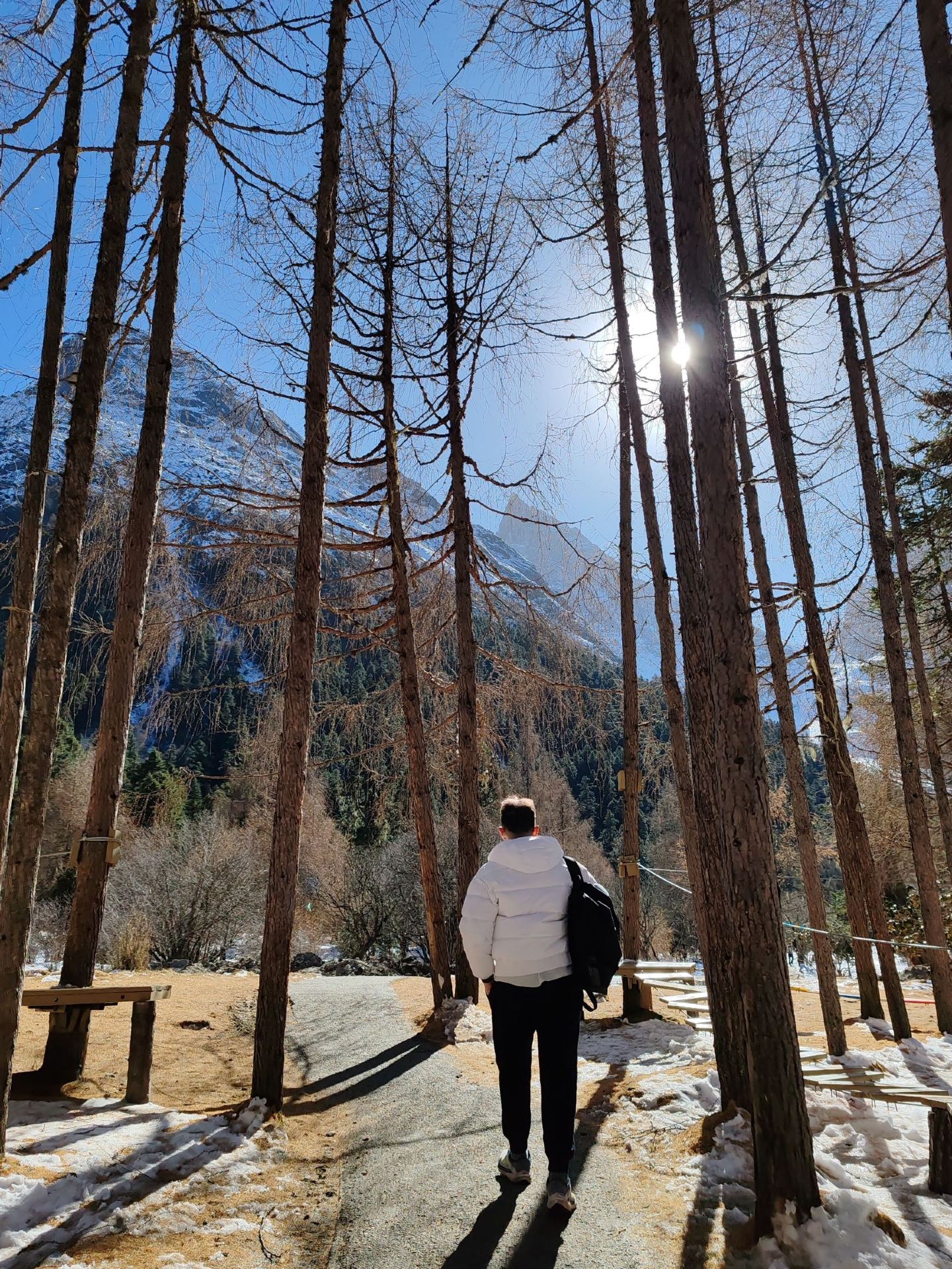 🇨🇳🏔️ Bipenggou 1-Day Trip Guide: Essential Tips, Snow Mountain from Chengdu! ❄️🌲