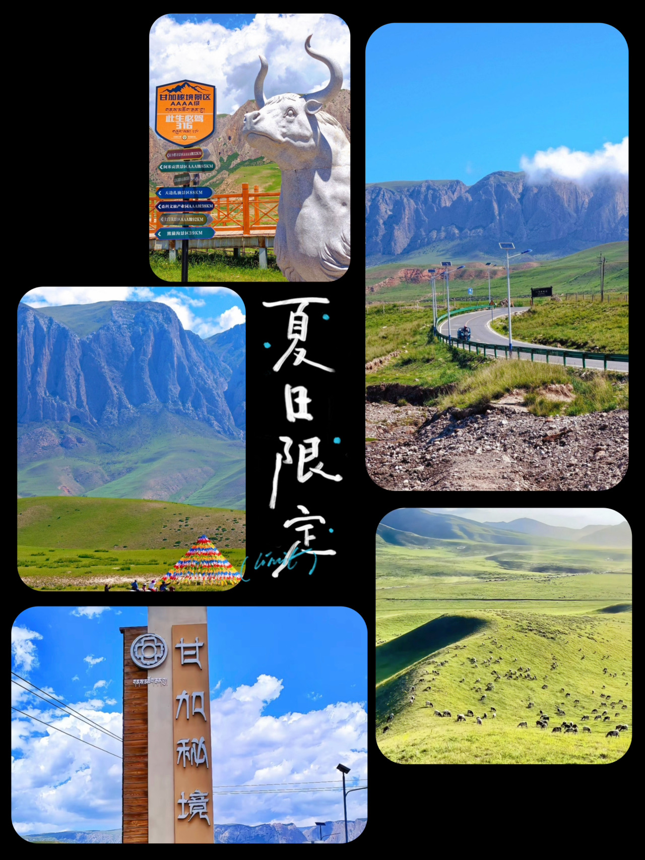 🏔️ Ganjia Grassland: The Hidden Tibetan Paradise Most Travelers Miss in China