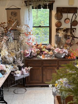 Stylish nursery-style garden shop