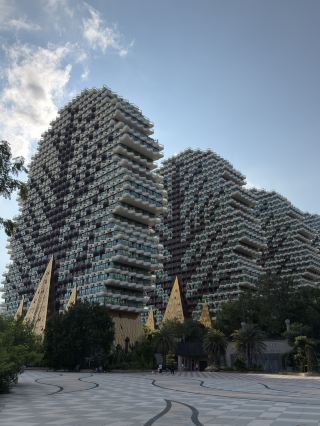 Photo vs Reality: Tree Houses in Sanya