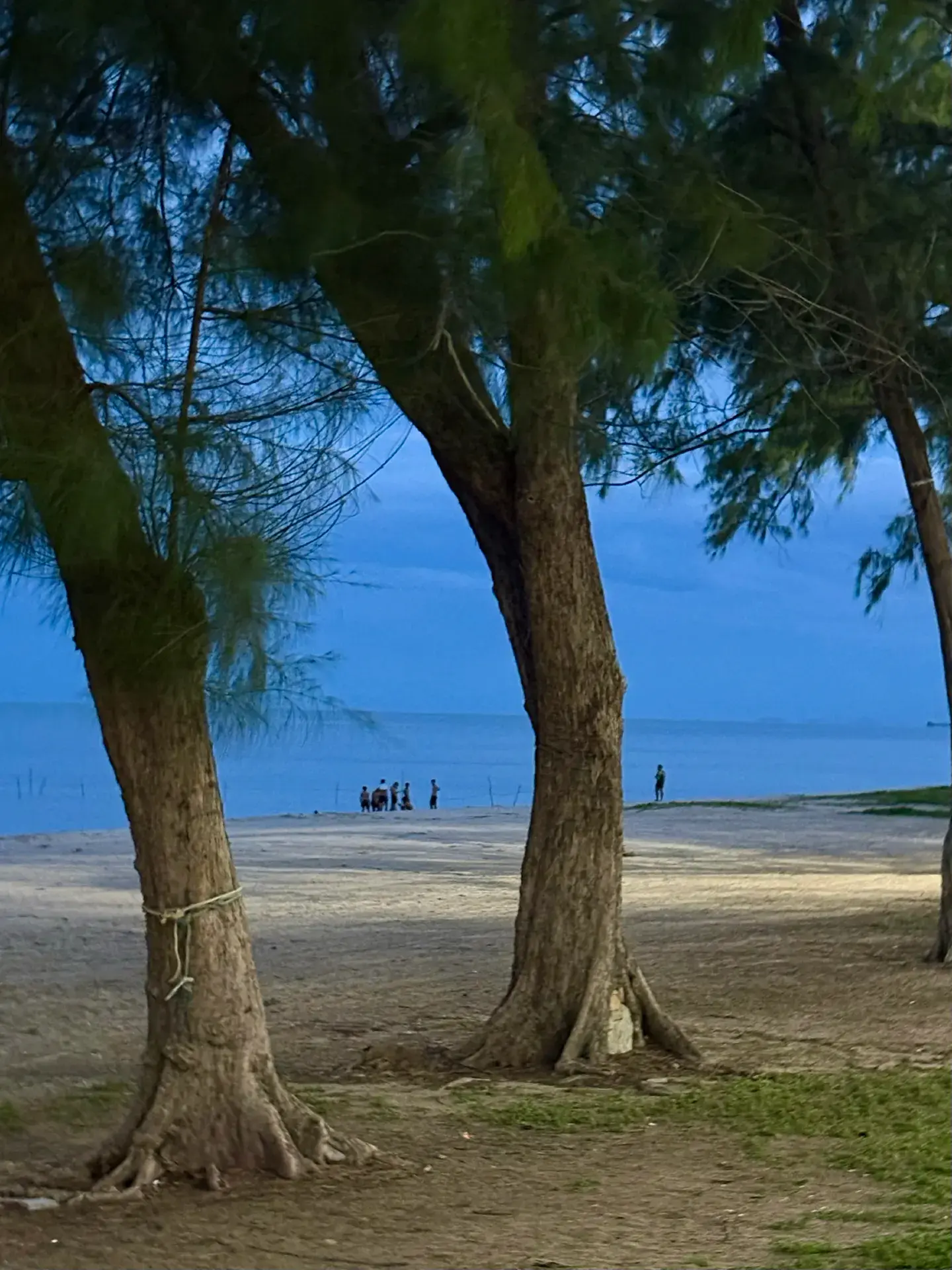 Sea Breeze, Street Food & Rock Music — Hello, Songkhla Night!