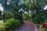Singapore City Break: Finding a Peaceful Escape at Victoria Lily Pond