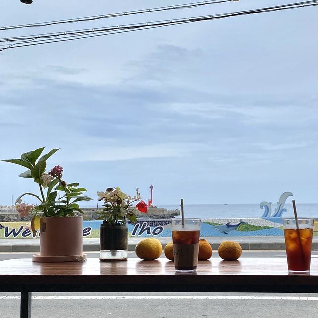 귀여운 목마가 있는 이호테우 해변🌊🌴