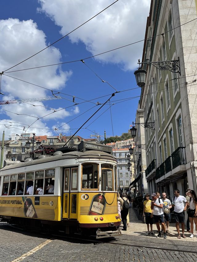 [포르투갈/리스본]🇵🇹리스본-트램=0! 🚋트램의 도시 리스본