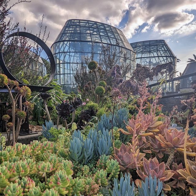 Bogotá Botanical Garden José Celestino 