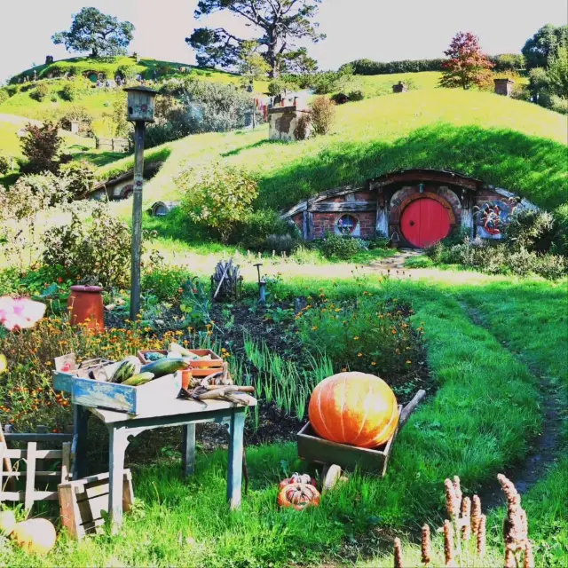 For LoR fans: Hobbiton is a must!