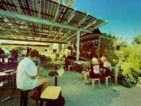 🍻 Lucky Bay Brewery: Cold Beer, Live Tunes & Good Times!