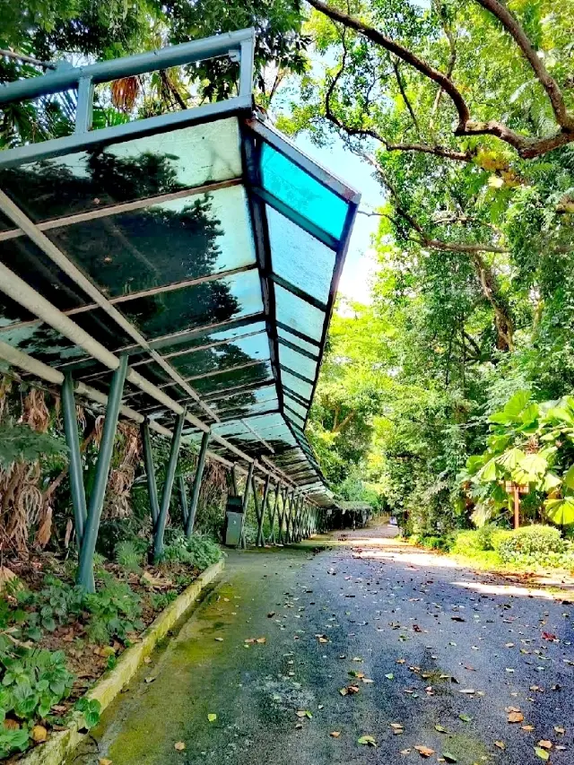 拉布拉多自然保護區