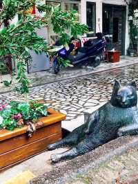 Istanbul Cats Rule the City: 5 Furry Facts You’ll Love 😻