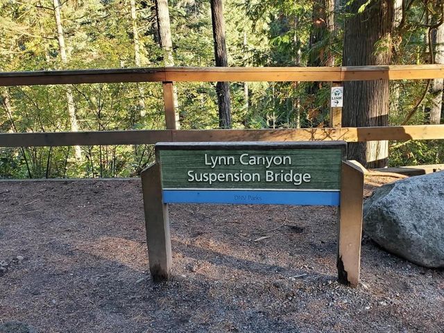 Lynn Canyon Suspension Bridge 🇨🇦