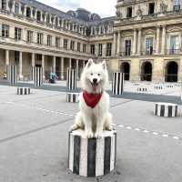 Insider tip in Paris’ center: Palais Royal