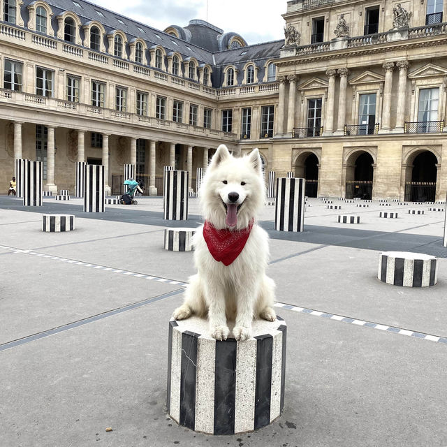 Insider tip in Paris’ center: Palais Royal