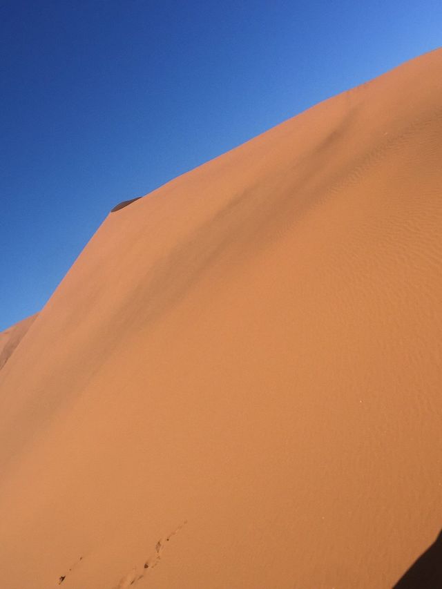 Wild Serenity in Namibia