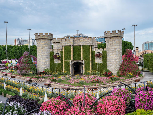 Miracle Garden Dubai 🗺️