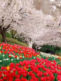 안산 연희숲속쉼터 🌺🌸