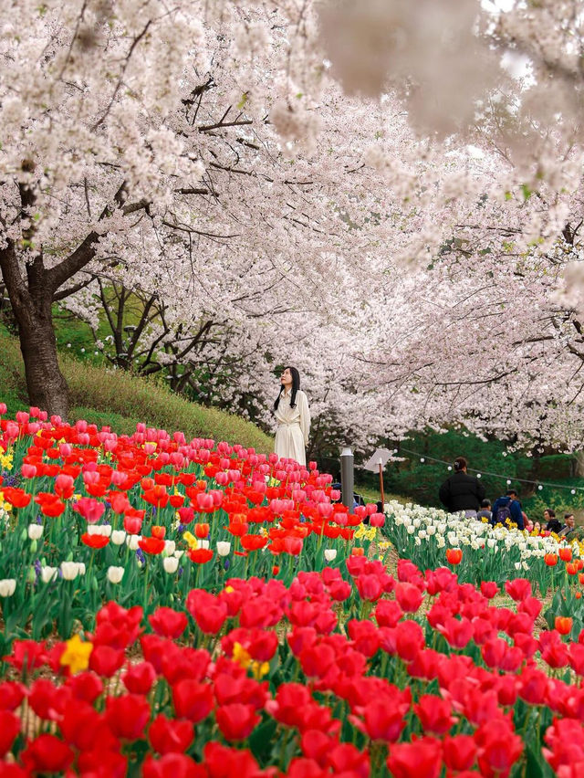 안산 연희숲속쉼터 🌺🌸