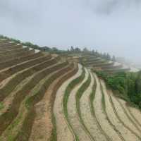 Longji Rice Terrace: Nature's Masterpiece 🌾🏞️