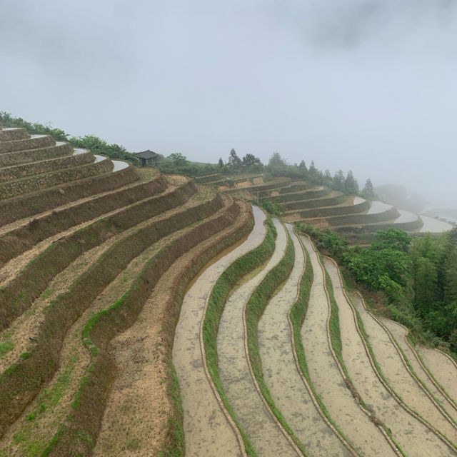 Longji Rice Terrace: Nature's Masterpiece 🌾🏞️