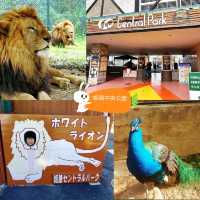 🐘姬路中央公園🦉開車穿越野生動物園區🐯