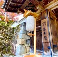 《三千院》🌳建於公元 784 年的佛寺🌳