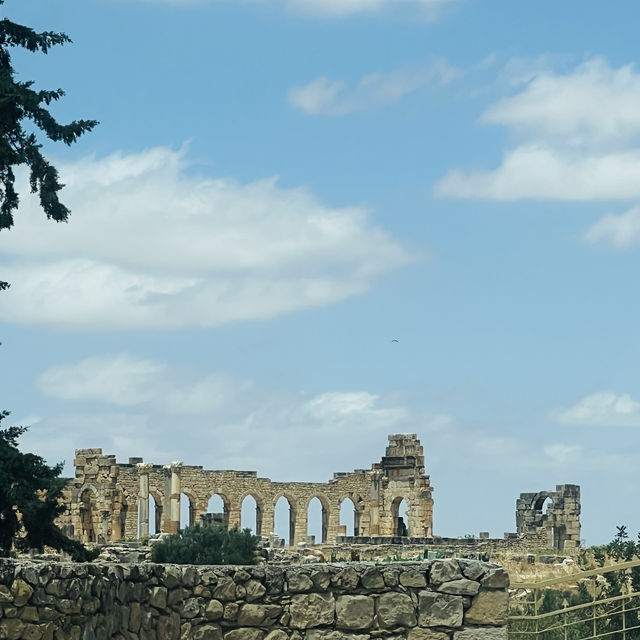 Road trip to meknes and moulay idriss zerhoun