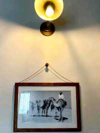 Stepping into the Magic of Al Seef 