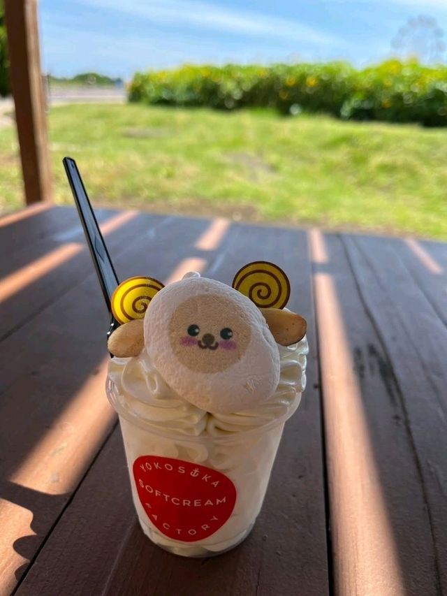 ☀️長井海之手公園 太陽之丘☀️體驗15米高的高空滑索