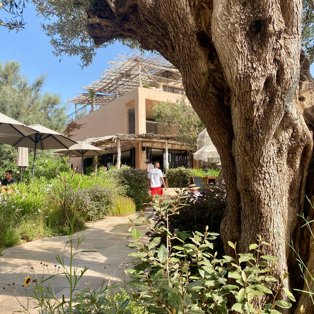 Tranquil Escape at Six Senses Ibiza 🌊🌿