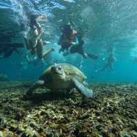 Ko Tao เกาะเต่า backpack เที่ยวได้เพลินมาก
