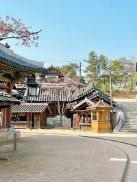 논산 선샤인 스튜디오