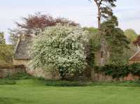 This is a MUST: The amazing Ashby St Ledgers