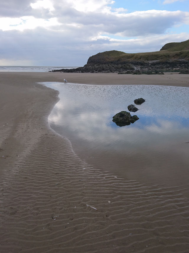 🌊 Wild & Rugged: A Gower AONB Adventure 🌿