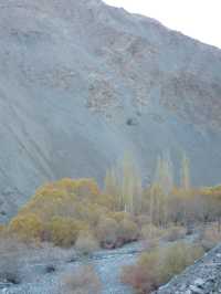Indus River View near Leh: A Serene Himalayan Landscape