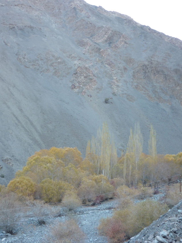 Indus River View near Leh: A Serene Himalayan Landscape