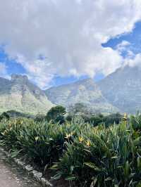 Kirstenbosch Gardens – Nature’s Masterpiece at Table Mountain’s Base 🌷