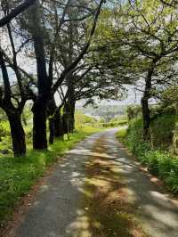 Falmouth 3 Days Itinerary