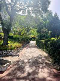 A walk around the Botanic Gardens Gibraltar🇬🇮 