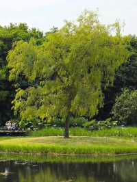 Jupiter Artland 