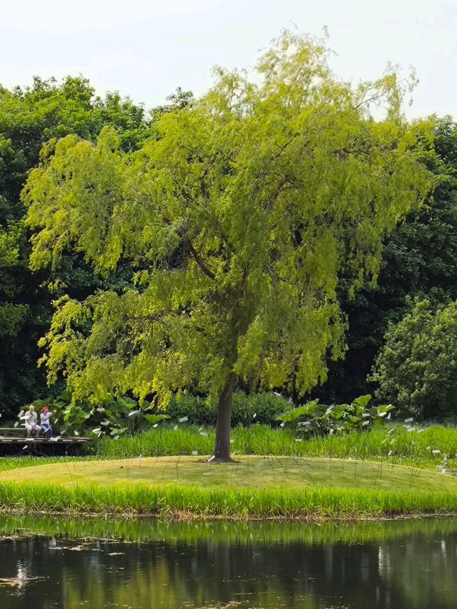 Jupiter Artland 