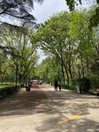 🌳 Vake Park – Tbilisi’s Lush Green Escape! 🌿