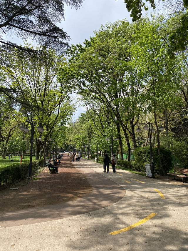 🌳 Vake Park – Tbilisi’s Lush Green Escape! 🌿