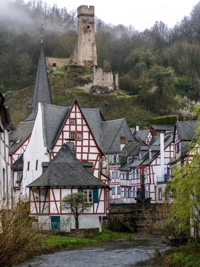 🍇 Rhineland-Palatinate: Vineyards, Castles, and River Magic 🏰🇩🇪