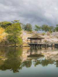 🌸 Nara Park: Where Nature, History & Sacred Deer Meet 🇯🇵✨