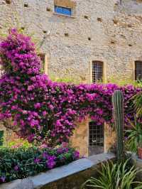 Cervo: A Medieval Jewel on the Italian Riviera