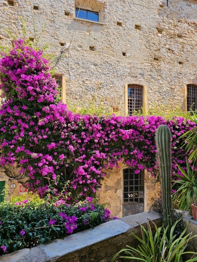 Cervo: A Medieval Jewel on the Italian Riviera