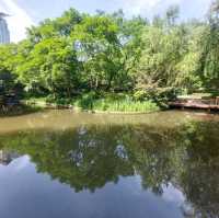 Little parks in Shanghai, little water worlds in the heart of the city