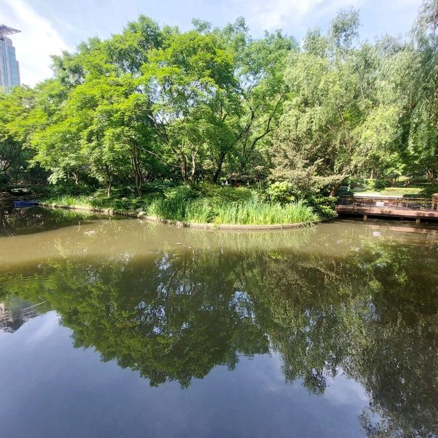 Little parks in Shanghai, little water worlds in the heart of the city